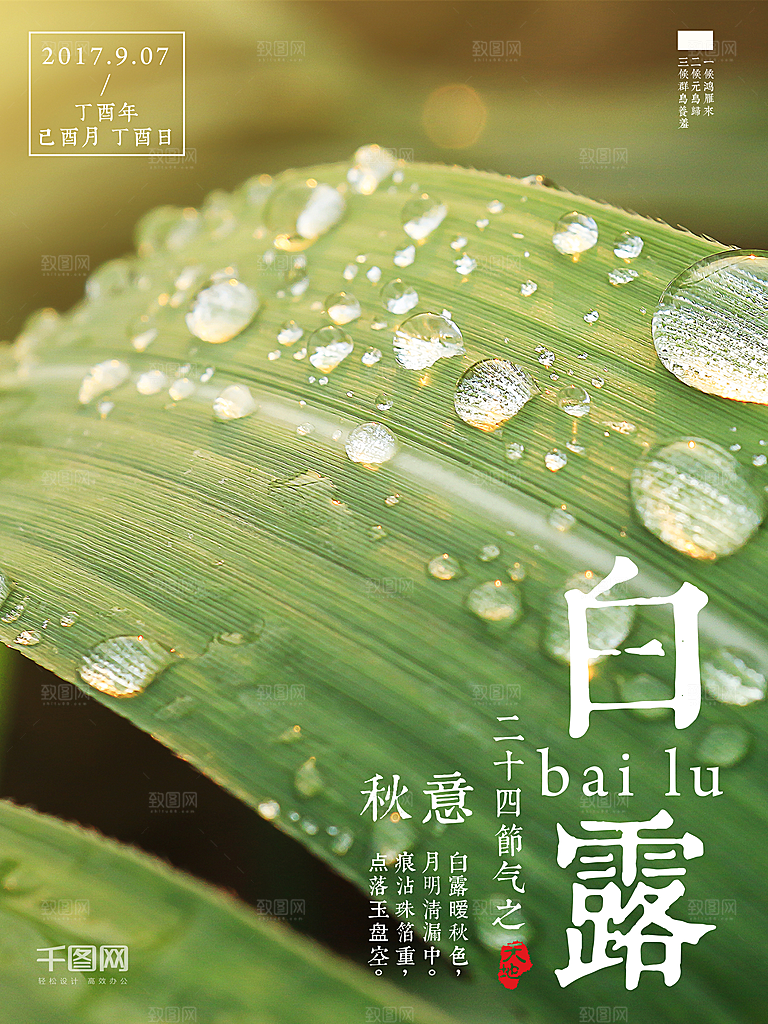中国传统二十四节气白露节气宣传海报