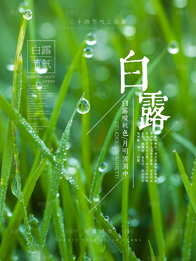 中国传统二十四节气白露节气宣传海报
