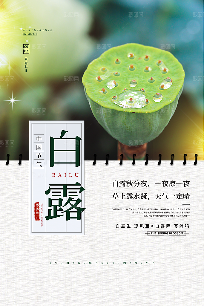 中国传统二十四节气白露节气宣传海报