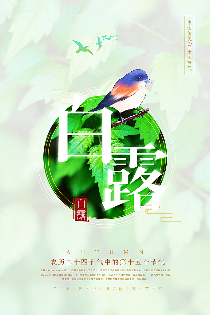 中国传统二十四节气白露节气宣传海报