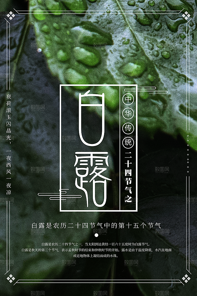中国传统二十四节气白露节气宣传海报