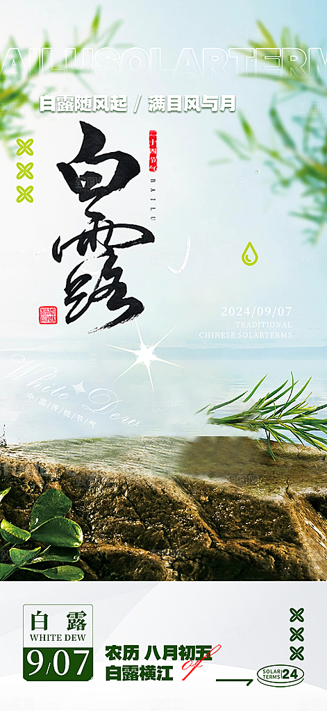 简约风传统白露二十四节气海报