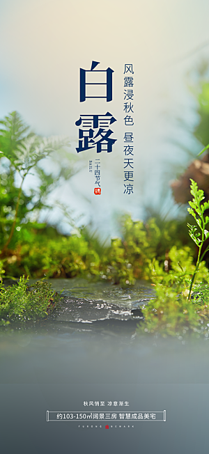 简约风传统白露二十四节气海报