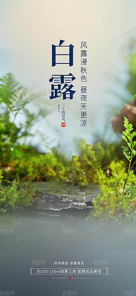 简约风传统白露二十四节气海报