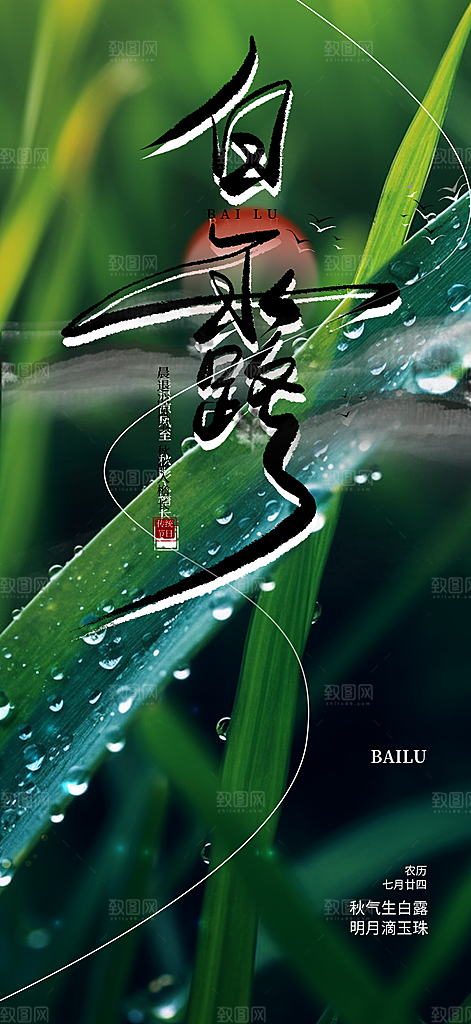 大气白露二十四节气海报