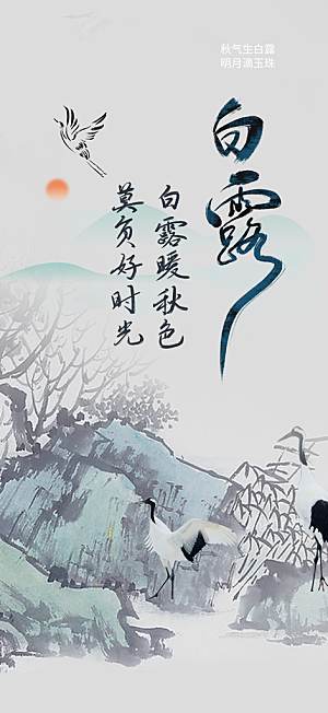 大气白露二十四节气海报