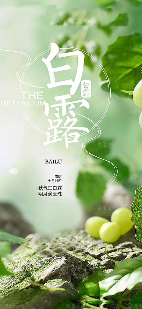 大气白露二十四节气海报