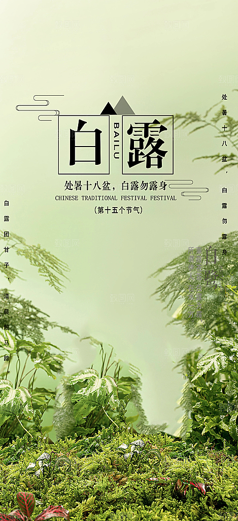 大气白露二十四节气海报