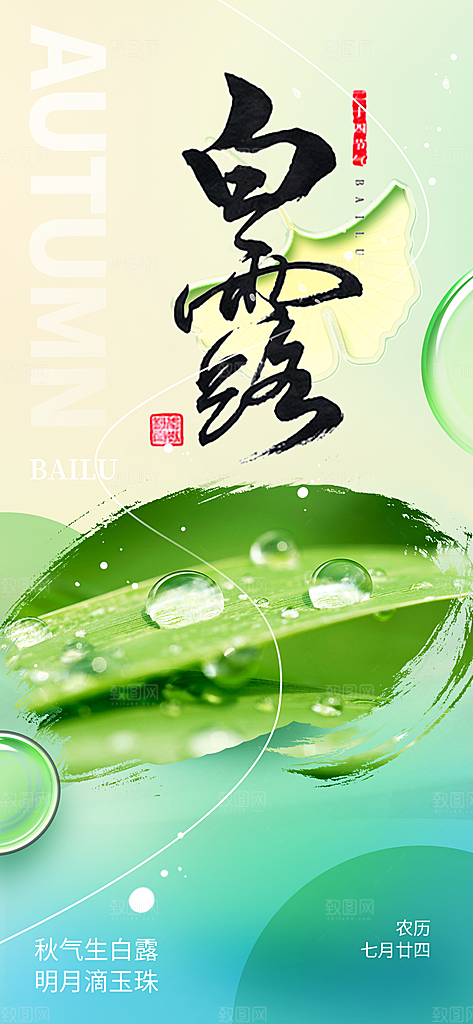 大气白露二十四节气海报
