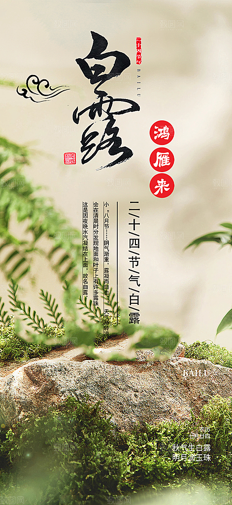 大气白露二十四节气海报