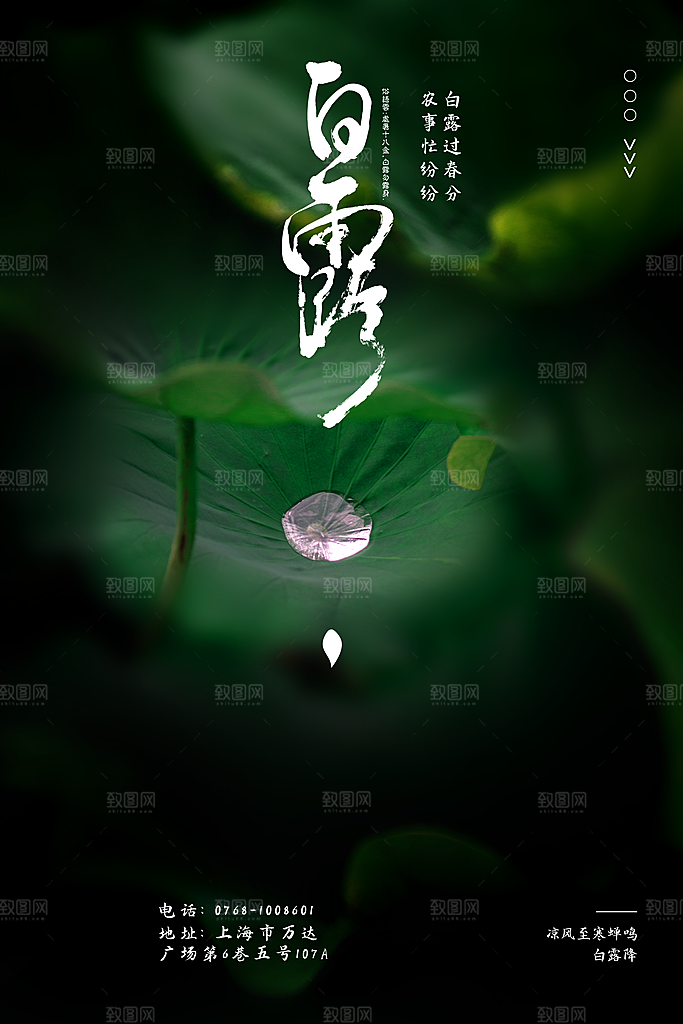 中国传统二十四节气白露节气宣传海报