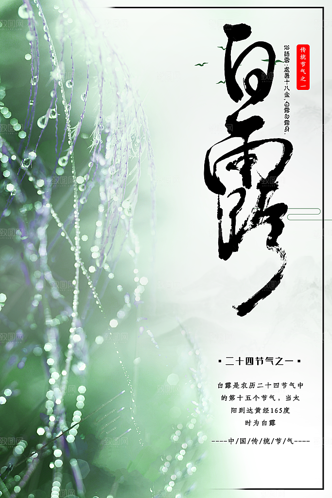 中国传统二十四节气白露节气宣传海报