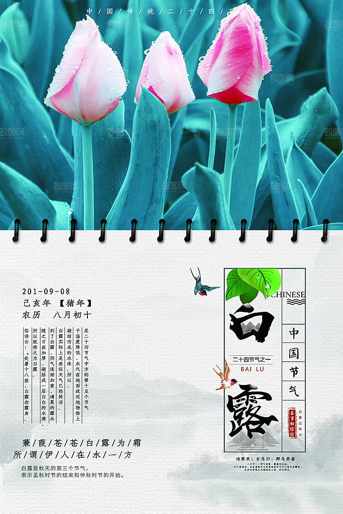 中国传统二十四节气白露节气宣传海报