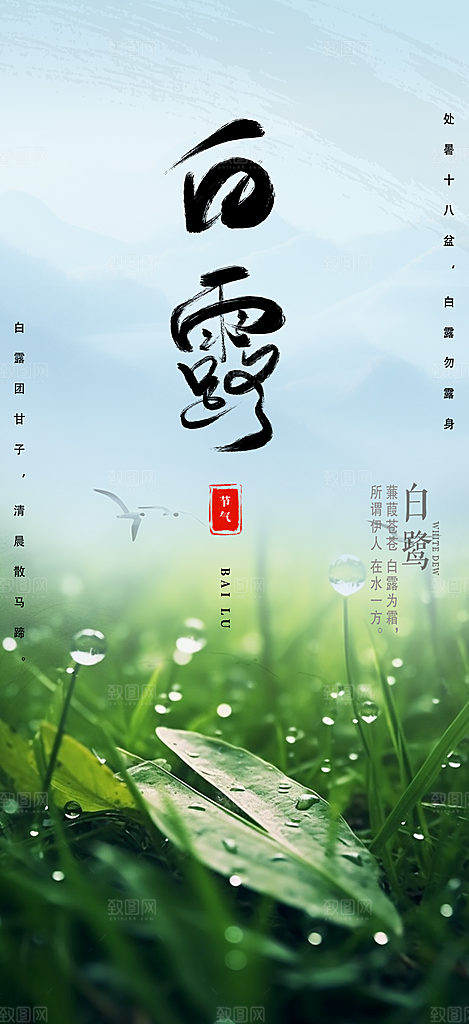 白露二十四节气海报