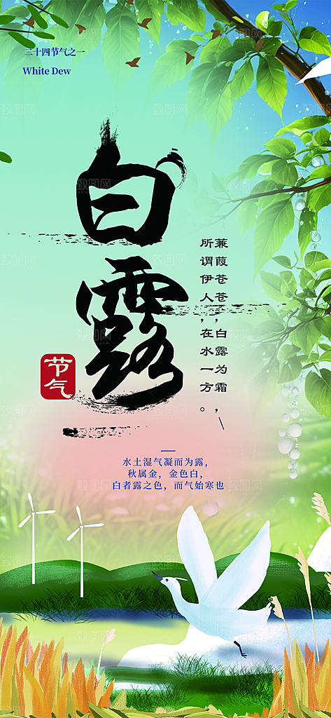 白露二十四节气海报