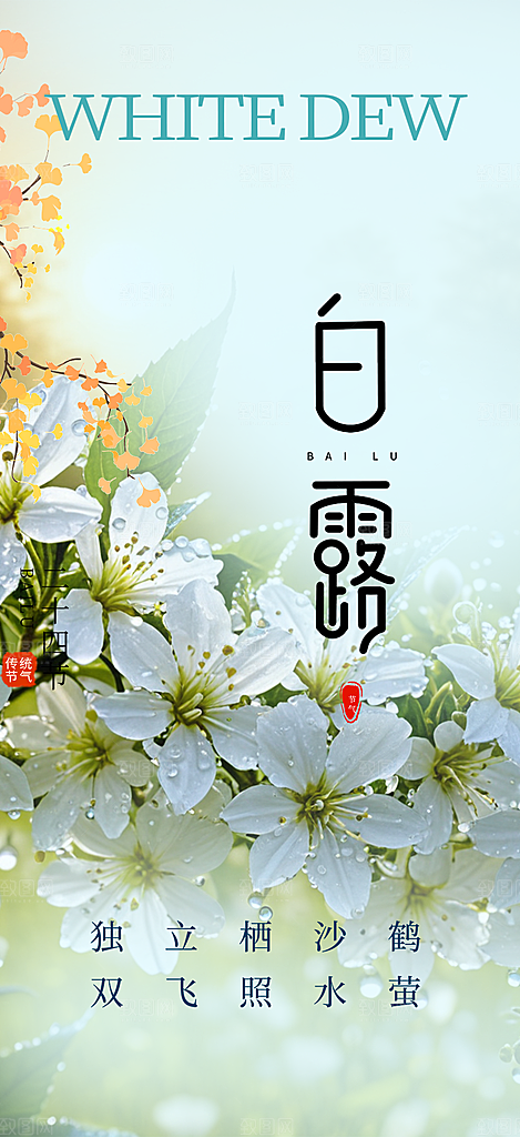 白露二十四节气海报