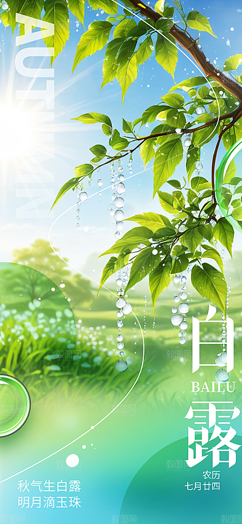 白露二十四节气海报