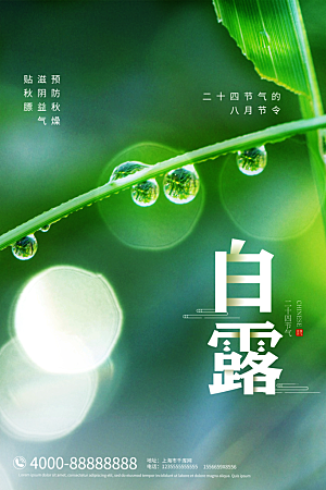 中国传统二十四节气白露节气宣传海报
