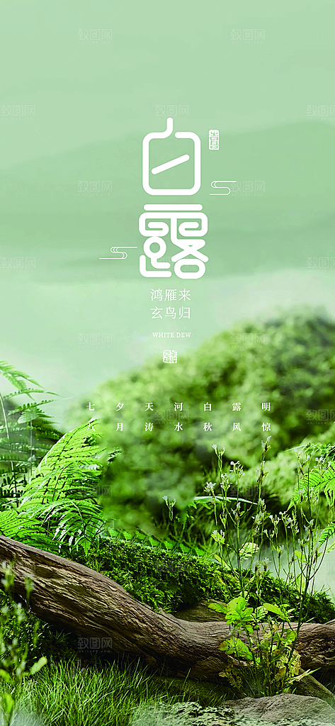 简约风传统白露二十四节气海报