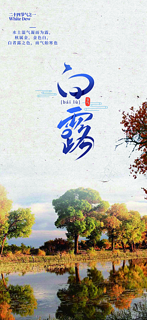 简约风传统白露二十四节气海报
