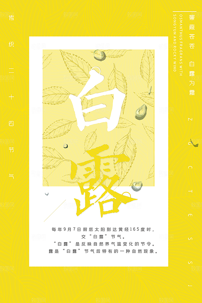 中国传统二十四节气白露节气宣传海报
