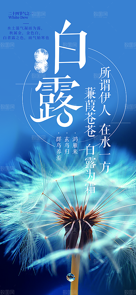 简约风传统白露二十四节气海报