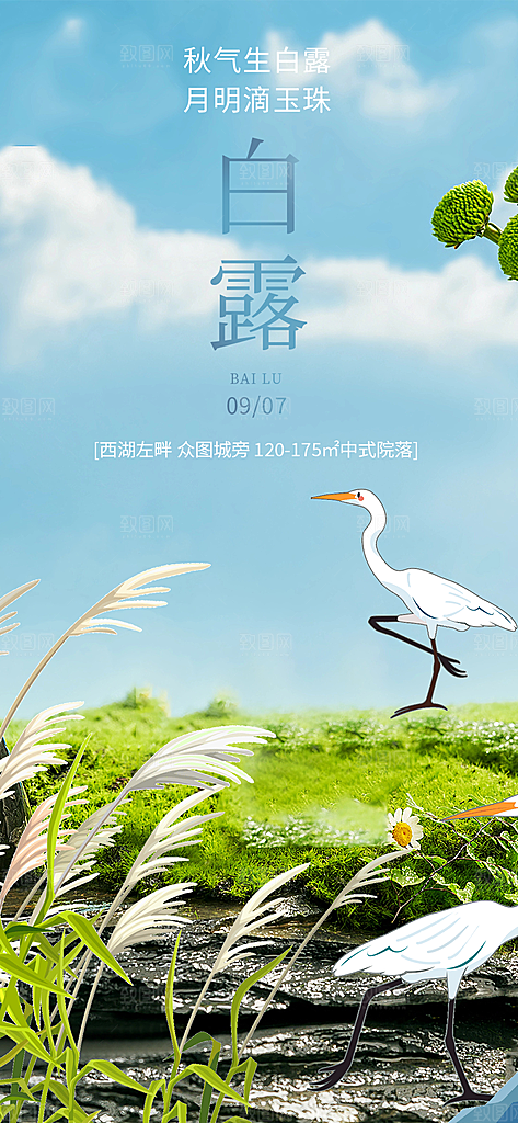 简约风传统白露二十四节气海报
