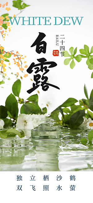 简约风传统白露二十四节气海报