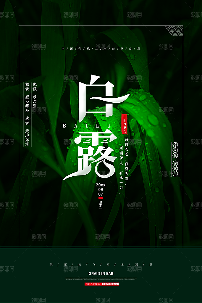 中国传统二十四节气白露节气宣传海报