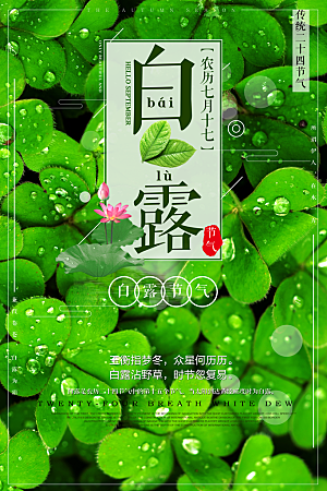 中国传统二十四节气白露节气宣传海报