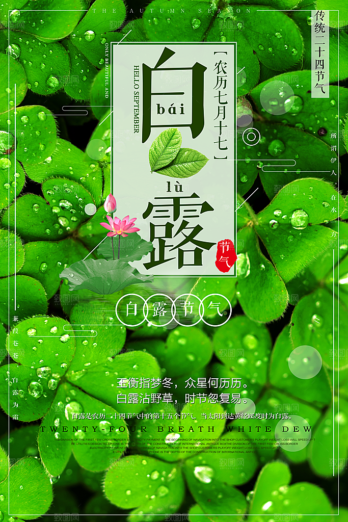 中国传统二十四节气白露节气宣传海报