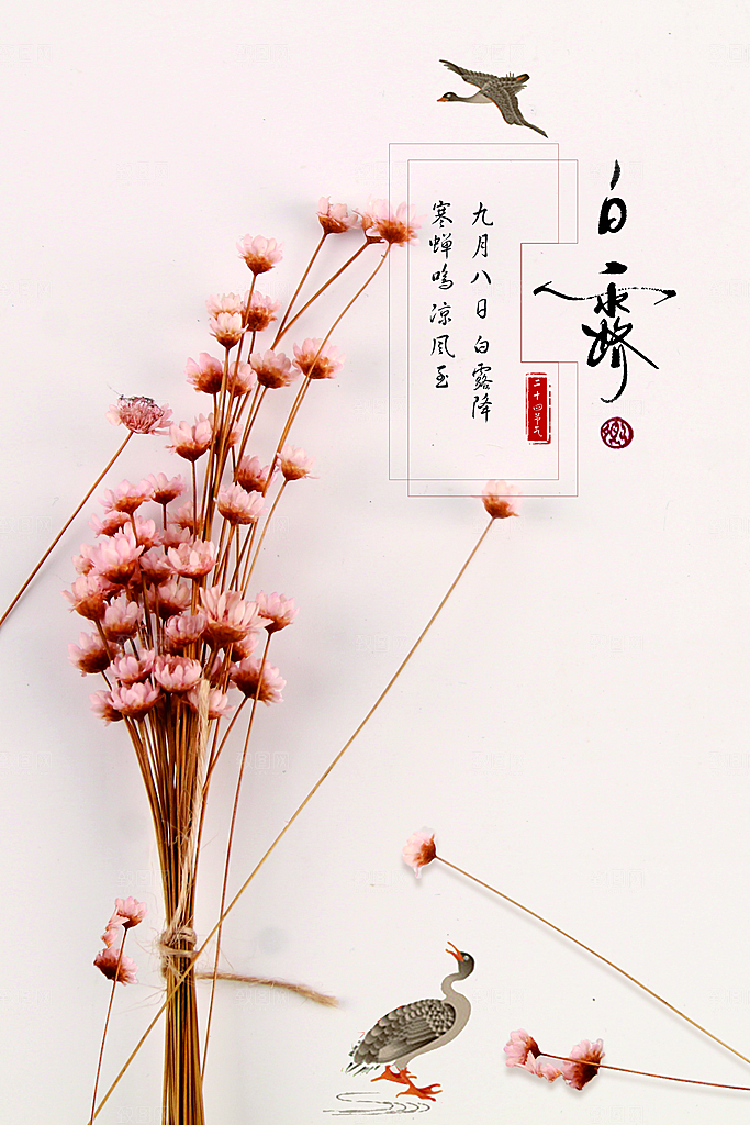 中国传统二十四节气白露节气宣传海报