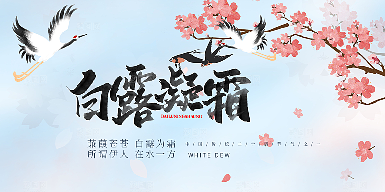 白露二十四节气展板