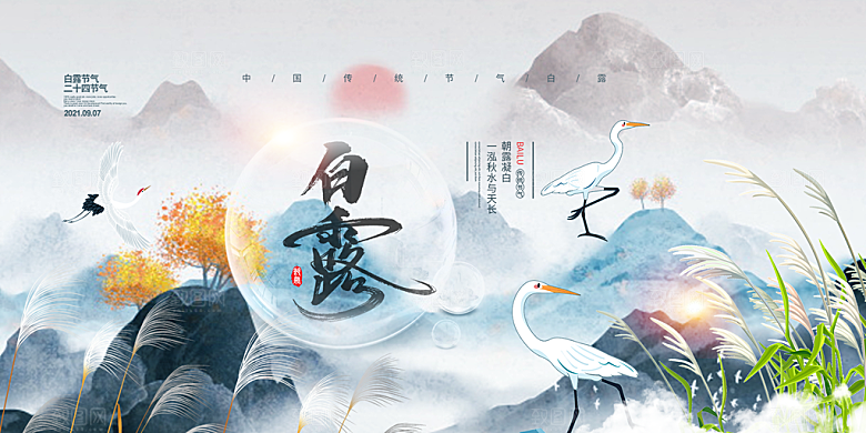 白露二十四节气展板