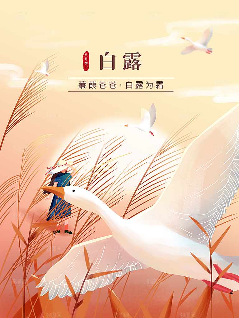 中国传统二十四节气白露节气宣传海报