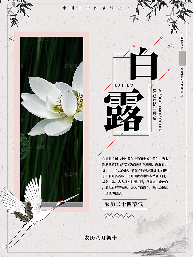 中国传统二十四节气白露节气宣传海报