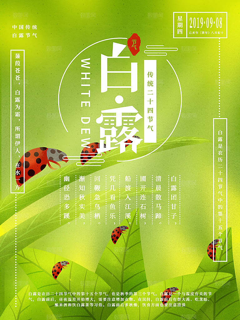 中国传统二十四节气白露节气宣传海报