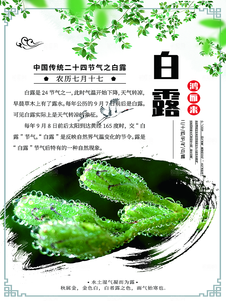中国传统二十四节气白露节气宣传海报