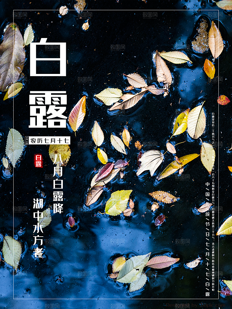 中国传统二十四节气白露节气宣传海报
