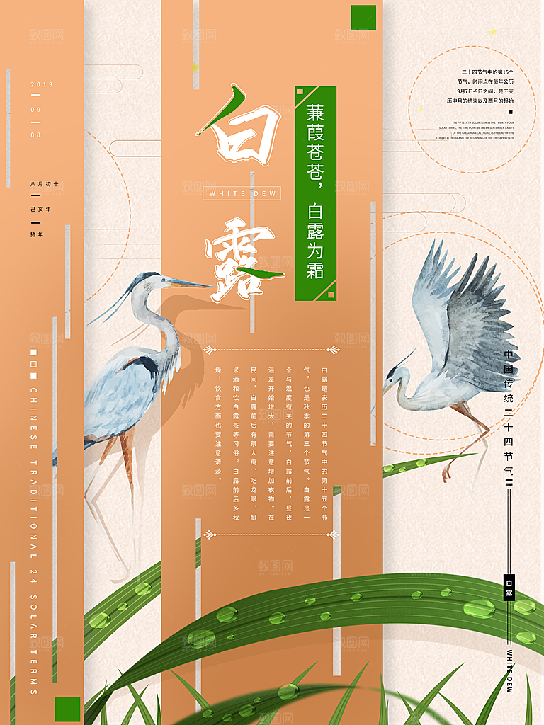 中国传统二十四节气白露节气宣传海报