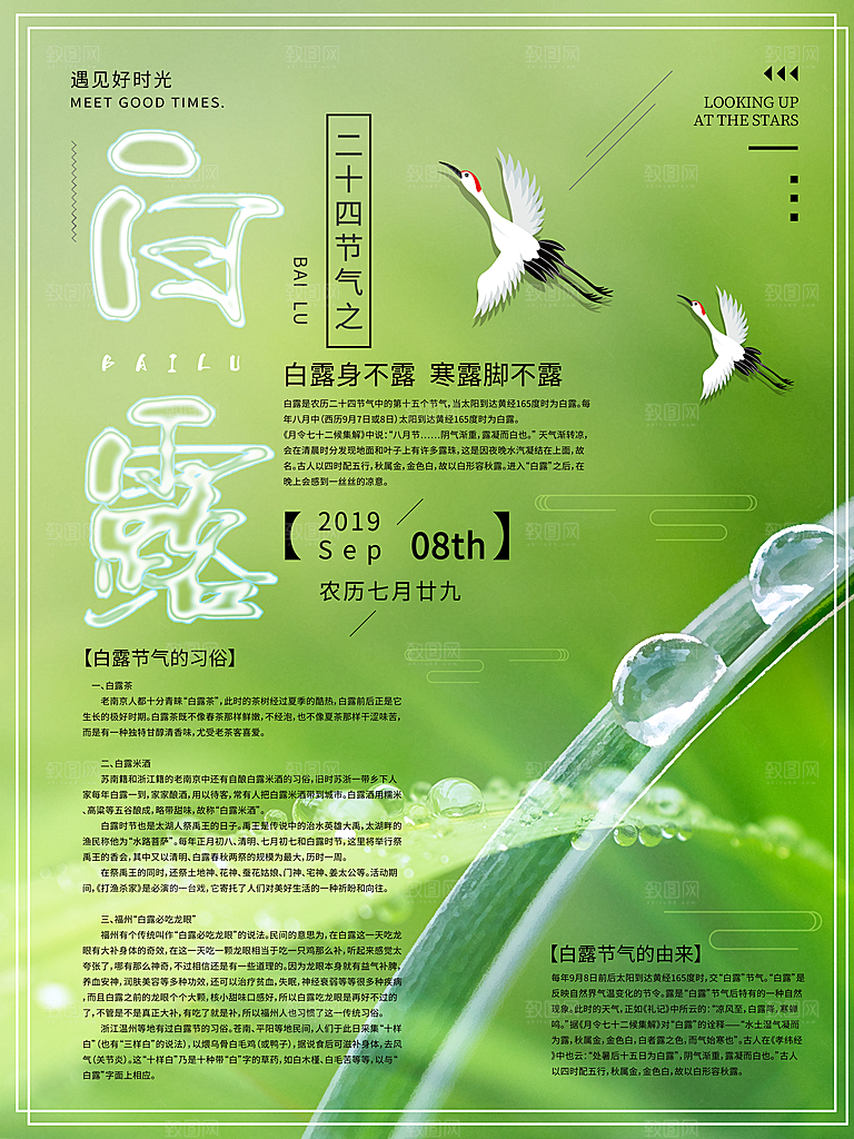 中国传统二十四节气白露节气宣传海报