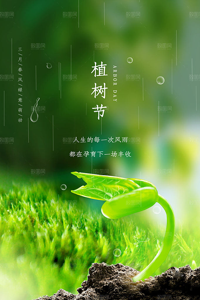 植树节节日简约大气海报