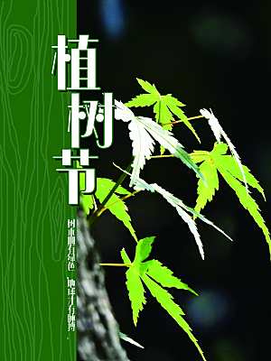 传统节日植树节海报模版