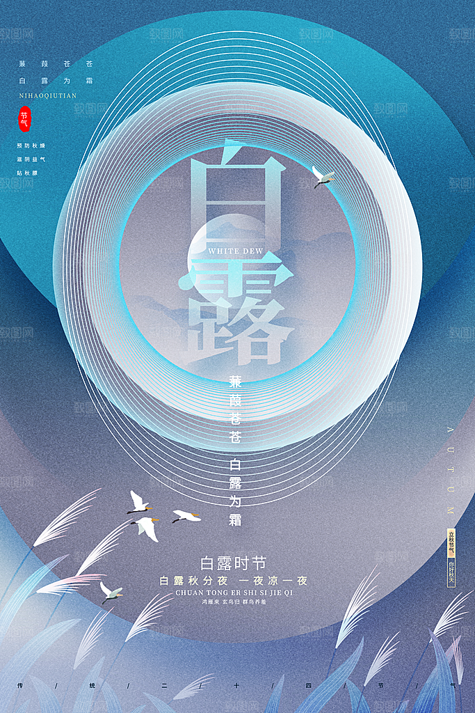 白露节气简约大气海报