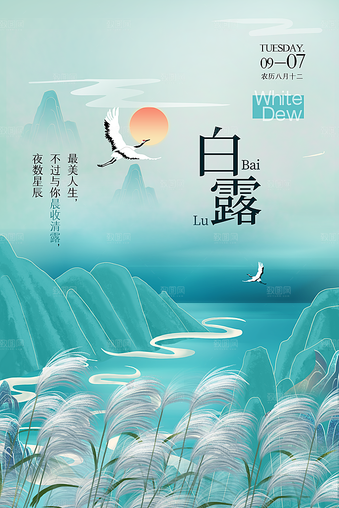 白露节气简约大气海报