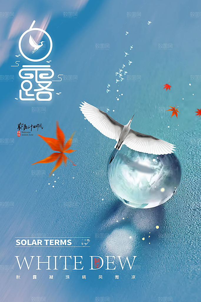 白露节气简约大气海报