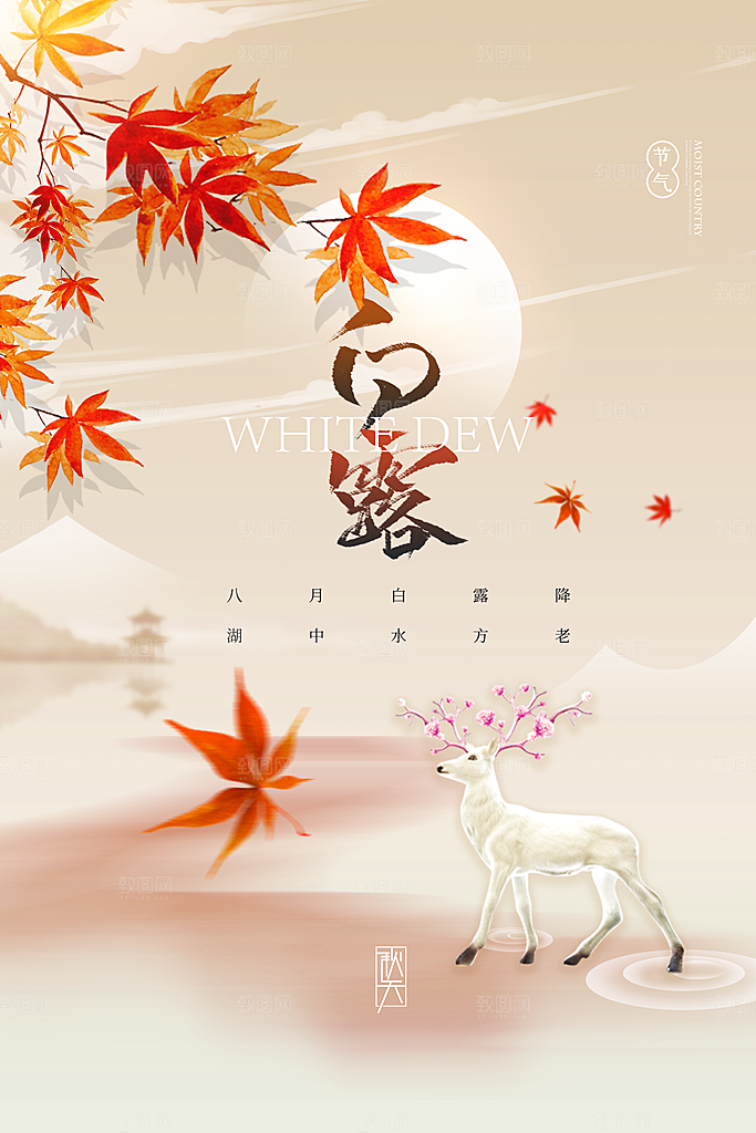 白露节气简约大气海报