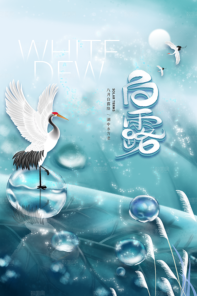 传统节气白露海报模板