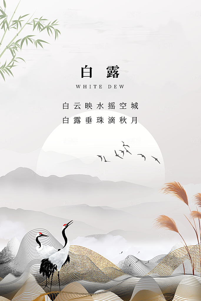 白露节气简约大气海报