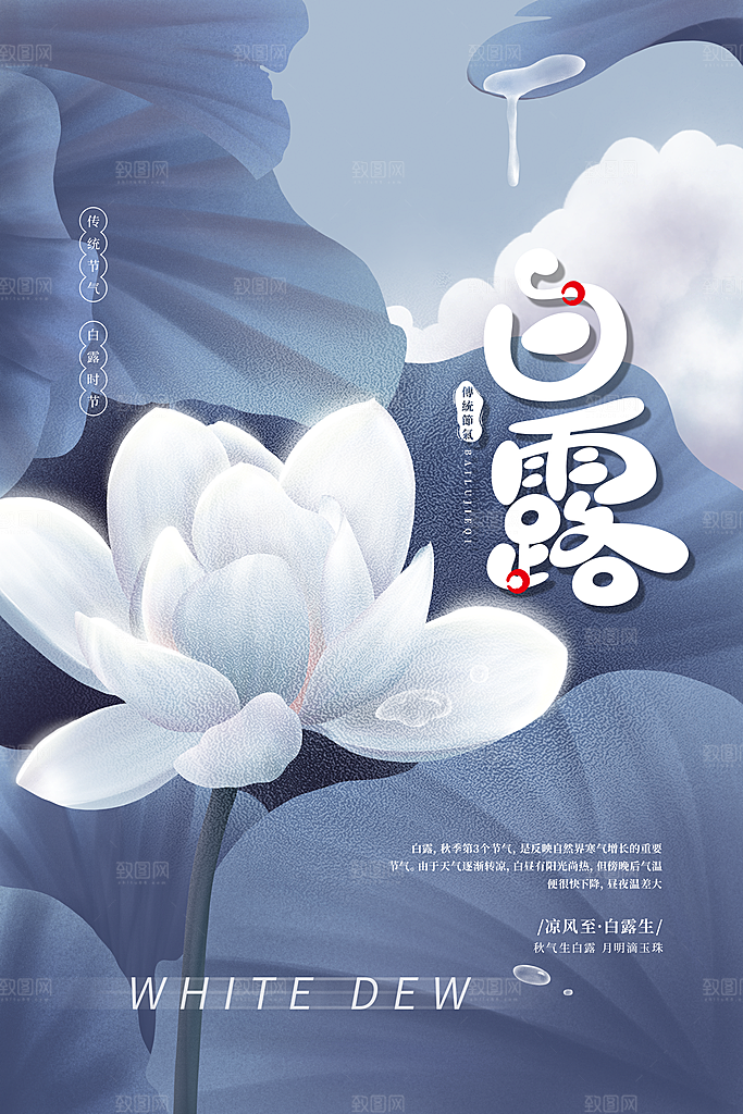 白露节气简约大气海报